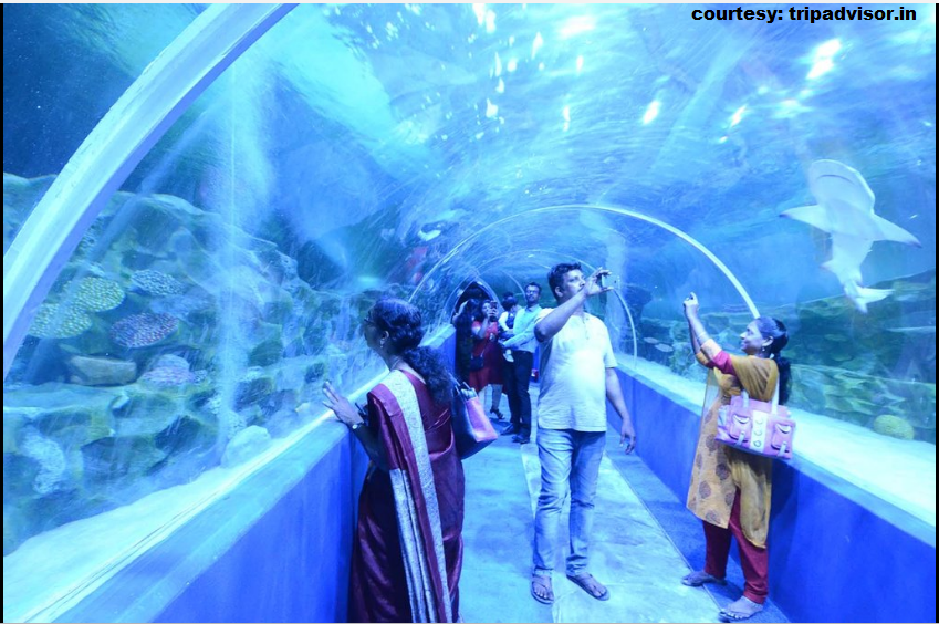 विश्वस्तरीय अंडर वाटर टनल एक्वेरियम का मजा ले अब भारत में भी underwater